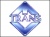 Transtv logo4